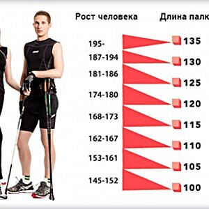 Как правильно выбрать палки для скандинавской ходьбы