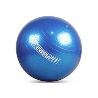 М'яч для фітнесу 75 см EasyFit (EF-3008)