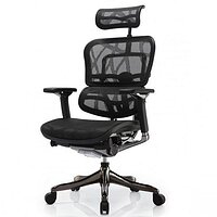 Крісло ергономічне комп'ютерне ERGOHUMAN PLUS COMFORT SEATING ( сітчасте )
