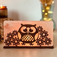 Соляний світильник Saltlamp &laquo;Сова з квіточками&raquo; 2 кг