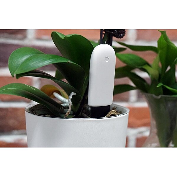 Датчик для растений Smart Flower and Plant Monitor Xiaomi