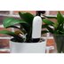 Датчик для растений Smart Flower and Plant Monitor Xiaomi