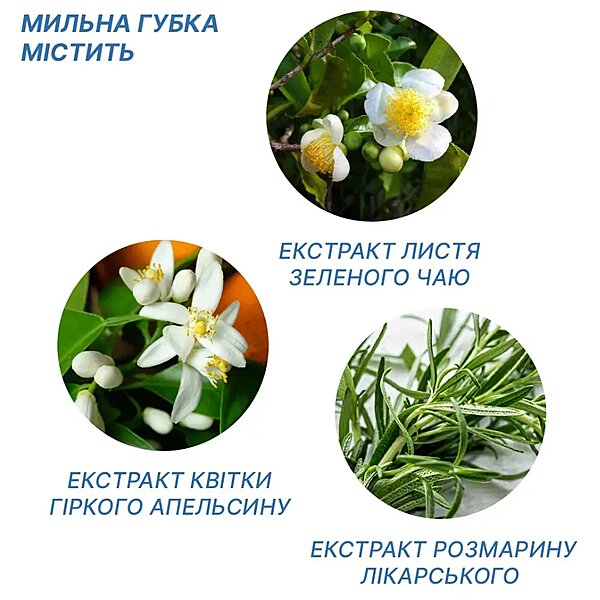Одноразові мильні губки &laquo;Estem&raquo;, 7 губок/уп. (Україна)