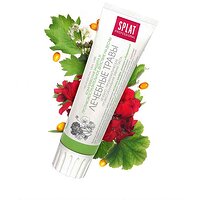 Зубна паста захист від бактерій і карієсу Professional Medical Herbs 100 мл Splat №2