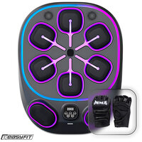 Настенный боксерский тренажер  EasyFit с апперкотами (музыкальный бокс) S122-2138