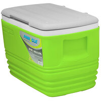 Контейнер изотермический Pinnacle Eskimo 34,5 л, салатовый S42-1358184329 №2