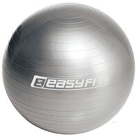 Мяч для фитнеса EasyFit 65 см серый S122-1464