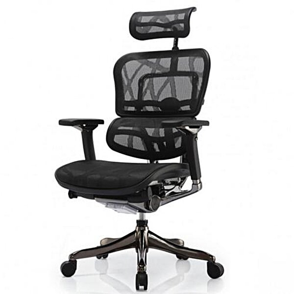 Крісло ергономічне комп'ютерне ERGOHUMAN PLUS COMFORT SEATING ( сітчасте )