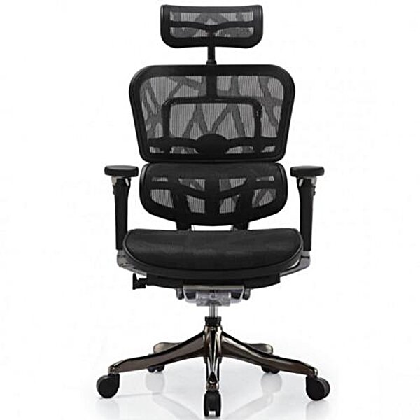 Купити Крісло ергономічне комп'ютерне ERGOHUMAN PLUS COMFORT SEATING ( сітчасте )