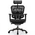 Купити Крісло ергономічне комп'ютерне ERGOHUMAN PLUS COMFORT SEATING ( сітчасте )