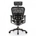 Фото Крісло ергономічне комп'ютерне ERGOHUMAN PLUS COMFORT SEATING ( сітчасте )