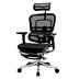 Купити Крісло ергономічне комп'ютерне ERGOHUMAN PLUS COMFORT SEATING c підставкою для ніг