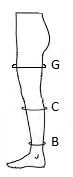 panchohi_size.png